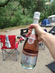 celebrating NZ residency in our campsite outside Yosemite Park